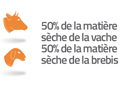 vache+brebis
